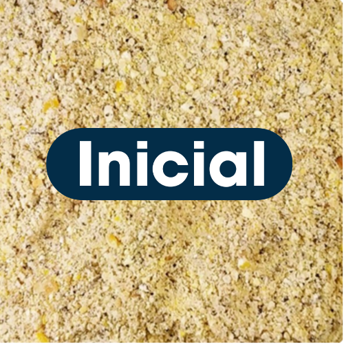 Inicial