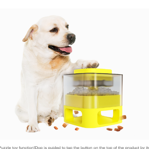 Interesting multi-functional pet feeder