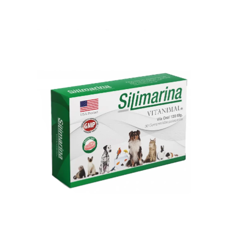 GMP - Silimarina 120 mg 30 comprimidos
