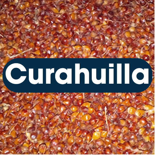 Harinilla
