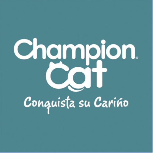 Champion Cat