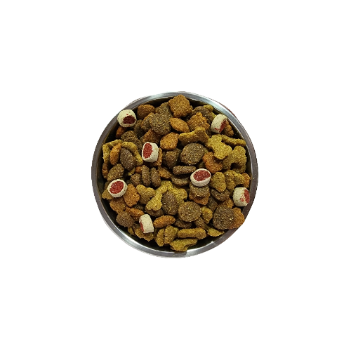 Can Adulto (1 Kg)