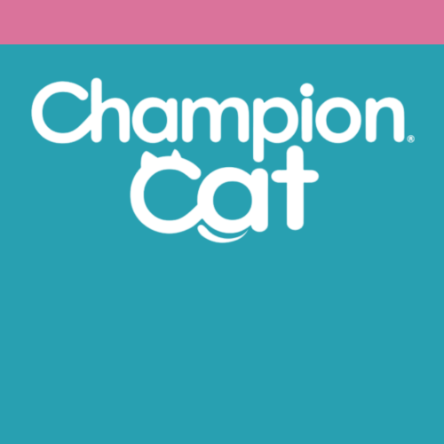 •Champion Cat Gatitos 🐈⬛