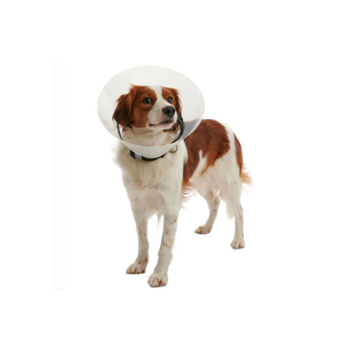Buen Amigo - Collar Isabelino