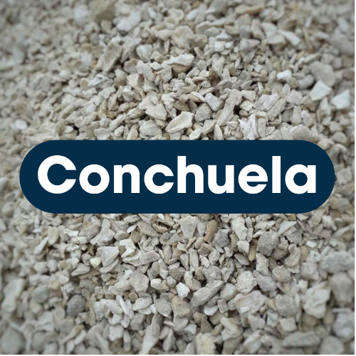 Conchuela