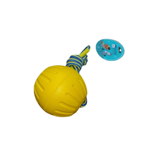 Pelota con cueda