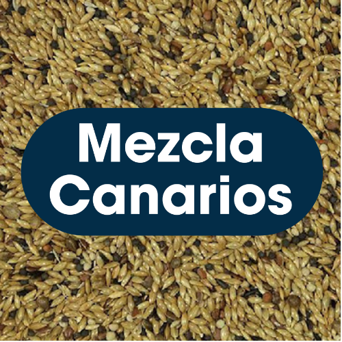 Mezcla de Canarios