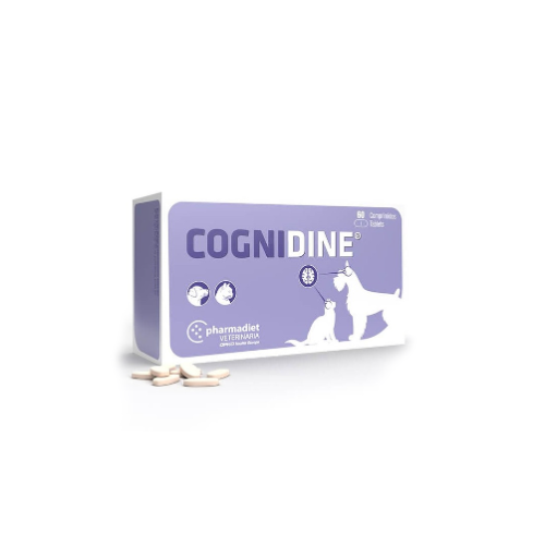 Pharmadiet - Cognidine 60 Comprimidos