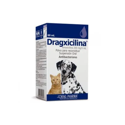 Drag Pharma - Dragxicilina 60 ml