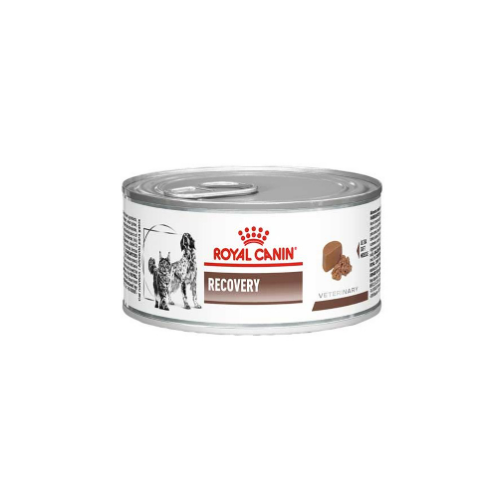 Royal Canin - Lata Recovery 145 g