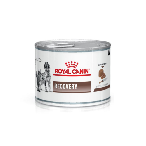 Royal Canin - Lata Recovery 165 g
