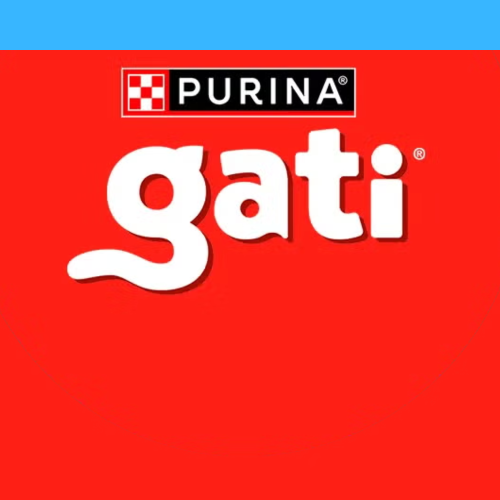 •Gati Adulto Pescado y Salmon 🐈‍⬛