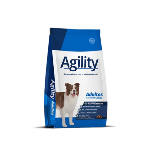 Agility - Adulto