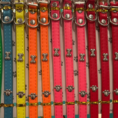 Collares Flúor cartón