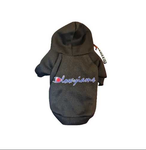 Hoodie Dlowyiams