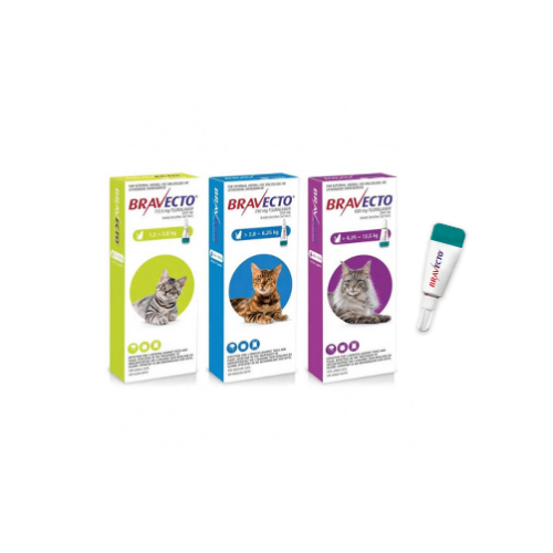 MSD - Bravecto Gatos