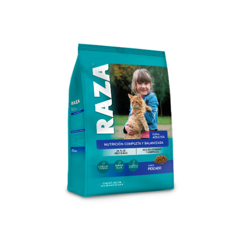 Raza - Gato Adulto