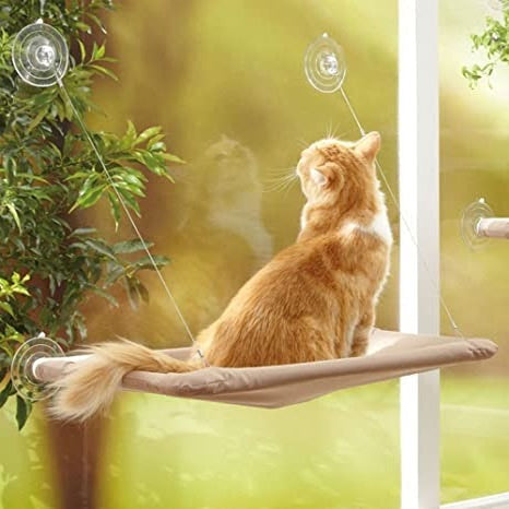 hamaca para gatos