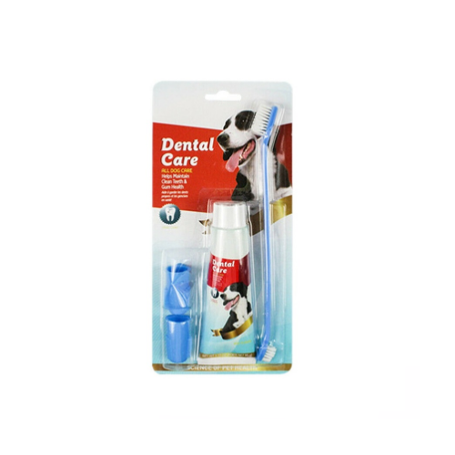 Pack Dental Care Kit