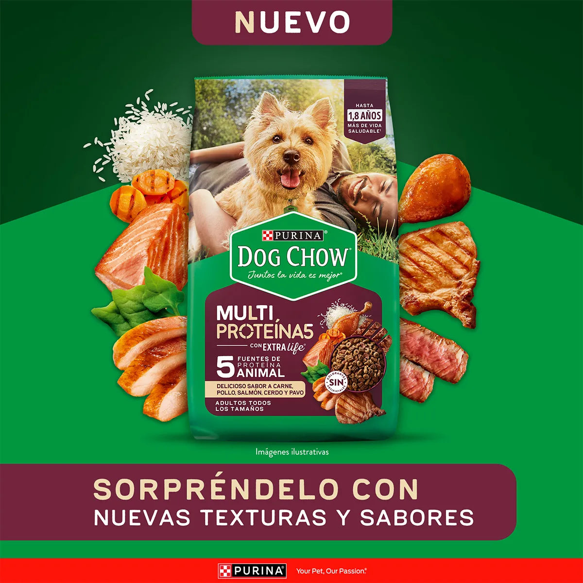 Purina - Dog Chow Multiproteina 5 19,5 kg
