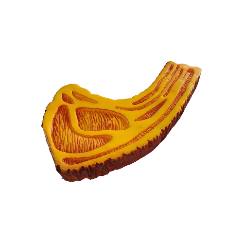 Juguete Bistecs