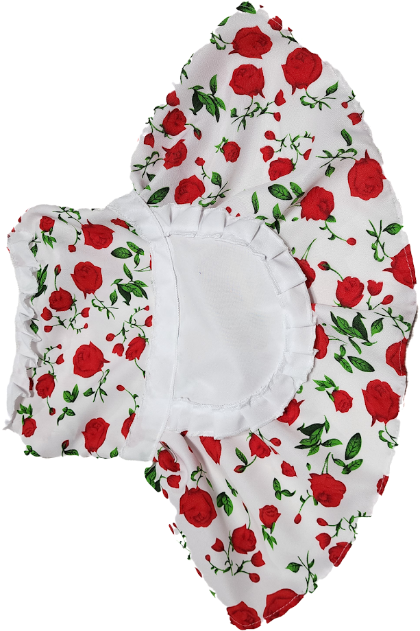 Ropa Dieciochera - Delantal