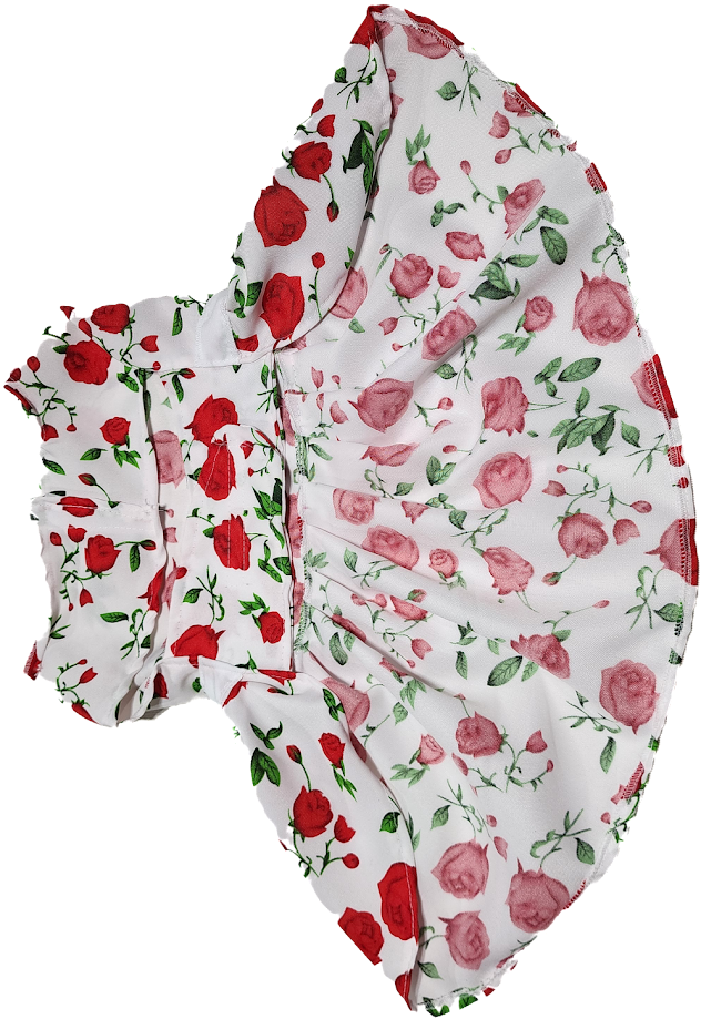 Ropa Dieciochera - Delantal