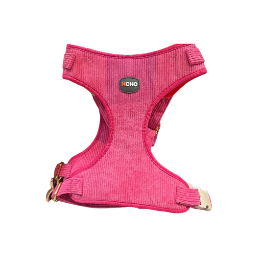 Xcho - Arnés Cotelé