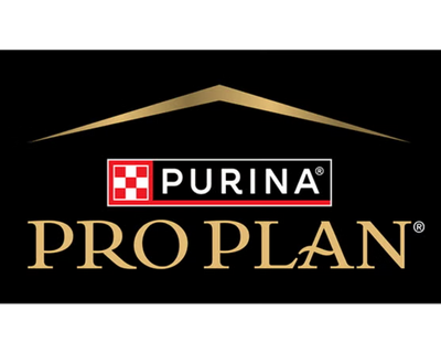 logo 8