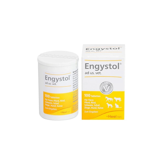 Heelvet - Engystol 100 comprimidos