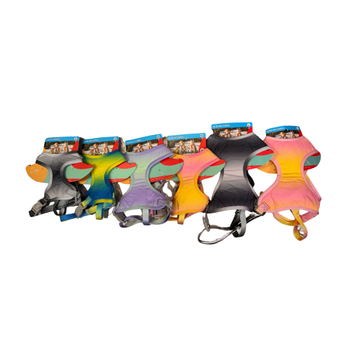 Arnés Pechera SummerFit + Correa