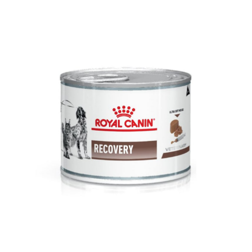 Royal Canin - Lata Recovery 145 g