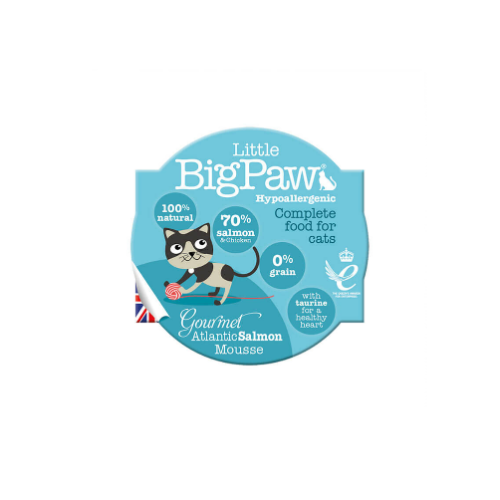 Little BigPaw - Atlantic Salmon 85 g