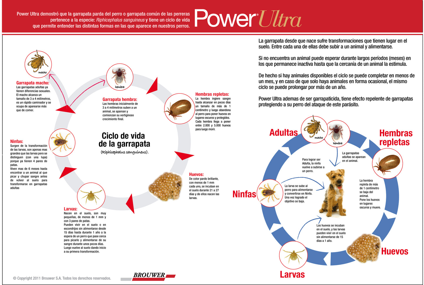 Brouwer - Pipeta Power Plus